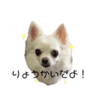 すずとちよとはな（個別スタンプ：2）