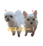 すずとちよとはな（個別スタンプ：3）