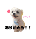 すずとちよとはな（個別スタンプ：7）