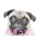 つむぎすたんぷ。（個別スタンプ：1）