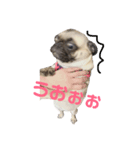 つむぎすたんぷ。（個別スタンプ：2）