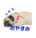 つむぎすたんぷ。（個別スタンプ：3）