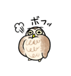 コキンメフクロウさんのスタンプ（個別スタンプ：2）