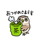 コキンメフクロウさんのスタンプ（個別スタンプ：3）