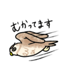 コキンメフクロウさんのスタンプ（個別スタンプ：4）