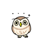 コキンメフクロウさんのスタンプ（個別スタンプ：5）