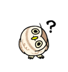 コキンメフクロウさんのスタンプ（個別スタンプ：6）