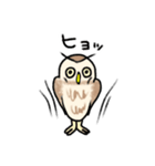 コキンメフクロウさんのスタンプ（個別スタンプ：7）