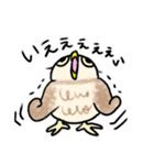 コキンメフクロウさんのスタンプ（個別スタンプ：8）