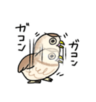 コキンメフクロウさんのスタンプ（個別スタンプ：9）