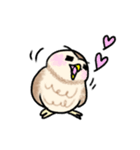 コキンメフクロウさんのスタンプ（個別スタンプ：11）
