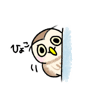 コキンメフクロウさんのスタンプ（個別スタンプ：14）