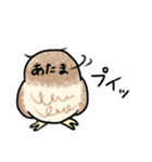 コキンメフクロウさんのスタンプ（個別スタンプ：16）