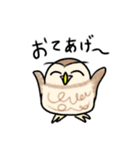 コキンメフクロウさんのスタンプ（個別スタンプ：20）