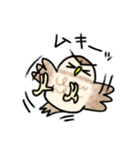 コキンメフクロウさんのスタンプ（個別スタンプ：21）