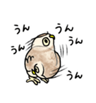 コキンメフクロウさんのスタンプ（個別スタンプ：22）
