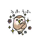 コキンメフクロウさんのスタンプ（個別スタンプ：23）