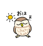 コキンメフクロウさんのスタンプ（個別スタンプ：25）