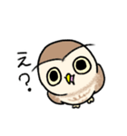 コキンメフクロウさんのスタンプ（個別スタンプ：27）