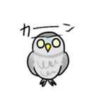 コキンメフクロウさんのスタンプ（個別スタンプ：30）