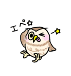 コキンメフクロウさんのスタンプ（個別スタンプ：31）