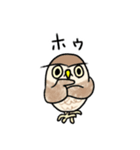 コキンメフクロウさんのスタンプ（個別スタンプ：34）