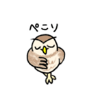コキンメフクロウさんのスタンプ（個別スタンプ：35）