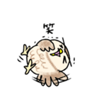 コキンメフクロウさんのスタンプ（個別スタンプ：37）