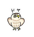 コキンメフクロウさんのスタンプ（個別スタンプ：38）