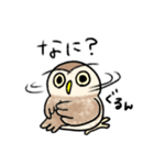 コキンメフクロウさんのスタンプ（個別スタンプ：39）