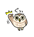 コキンメフクロウさんのスタンプ（個別スタンプ：40）