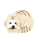 うちのハニちゃん（個別スタンプ：6）