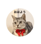 み〜み〜スタンプ（個別スタンプ：3）