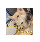 とーきとこっちゃん（個別スタンプ：8）