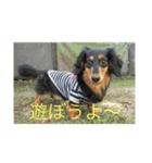 可愛いやんちゃ姫（個別スタンプ：1）