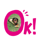 可愛いやんちゃ姫（個別スタンプ：3）