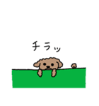 母の日トイプードル（個別スタンプ：7）