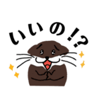 こちはむLife♪（個別スタンプ：15）