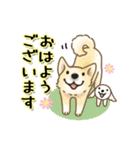 晴れ犬＿犬だらけ（個別スタンプ：1）