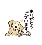 晴れ犬＿犬だらけ（個別スタンプ：3）