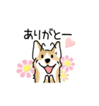 晴れ犬＿犬だらけ（個別スタンプ：4）