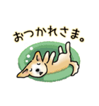 晴れ犬＿犬だらけ（個別スタンプ：8）