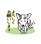 晴れ犬＿犬だらけ（個別スタンプ：10）