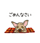 晴れ犬＿犬だらけ（個別スタンプ：19）