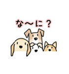 晴れ犬＿犬だらけ（個別スタンプ：21）