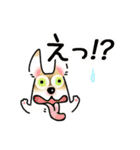 晴れ犬＿犬だらけ（個別スタンプ：25）