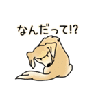 晴れ犬＿犬だらけ（個別スタンプ：29）