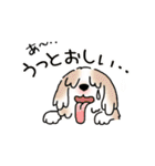 晴れ犬＿犬だらけ（個別スタンプ：30）