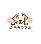 晴れ犬＿犬だらけ（個別スタンプ：37）