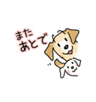 晴れ犬＿犬だらけ（個別スタンプ：38）